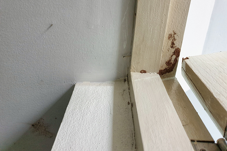 Bi-monthly Termite Services